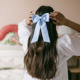 THE BLUE GINGHAM CLASSIC BOW